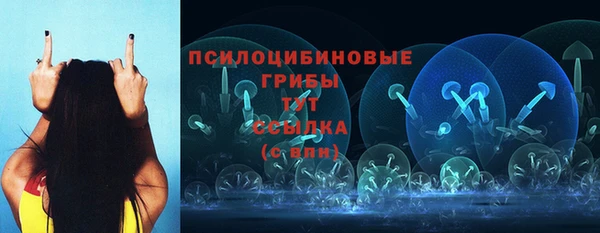 a pvp Балахна