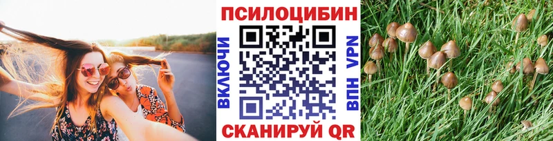 Галлюциногенные грибы Magic Shrooms  Кущёвская 